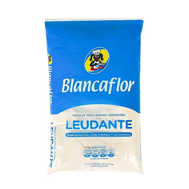 BULTO HARINA DE TRIGO BLANCA FLOR LEUDANTE 20x1KG